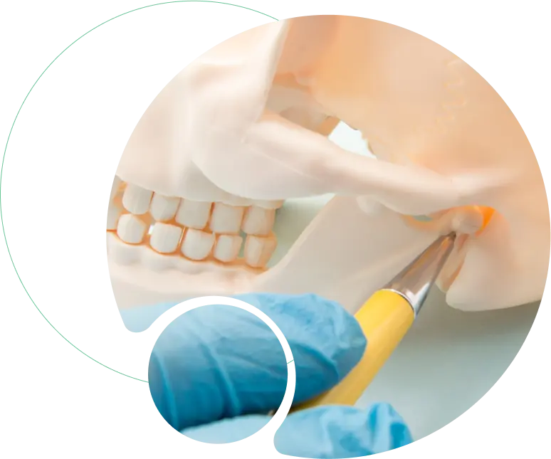 Maxillofacial Surgery